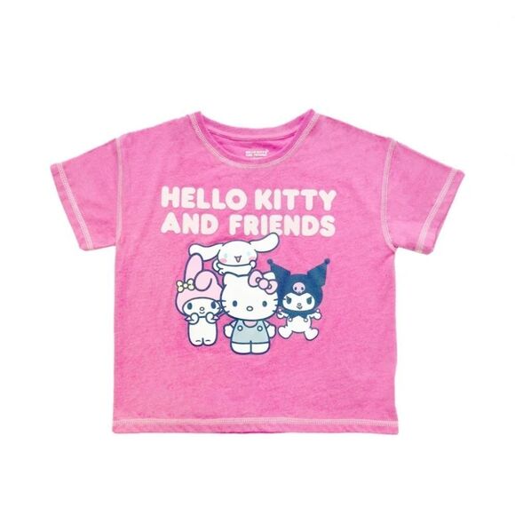 Girls Hello Kitty & Friends Girls Graphic T-Shirt 2-Pack Size M - Picture 4 of 15